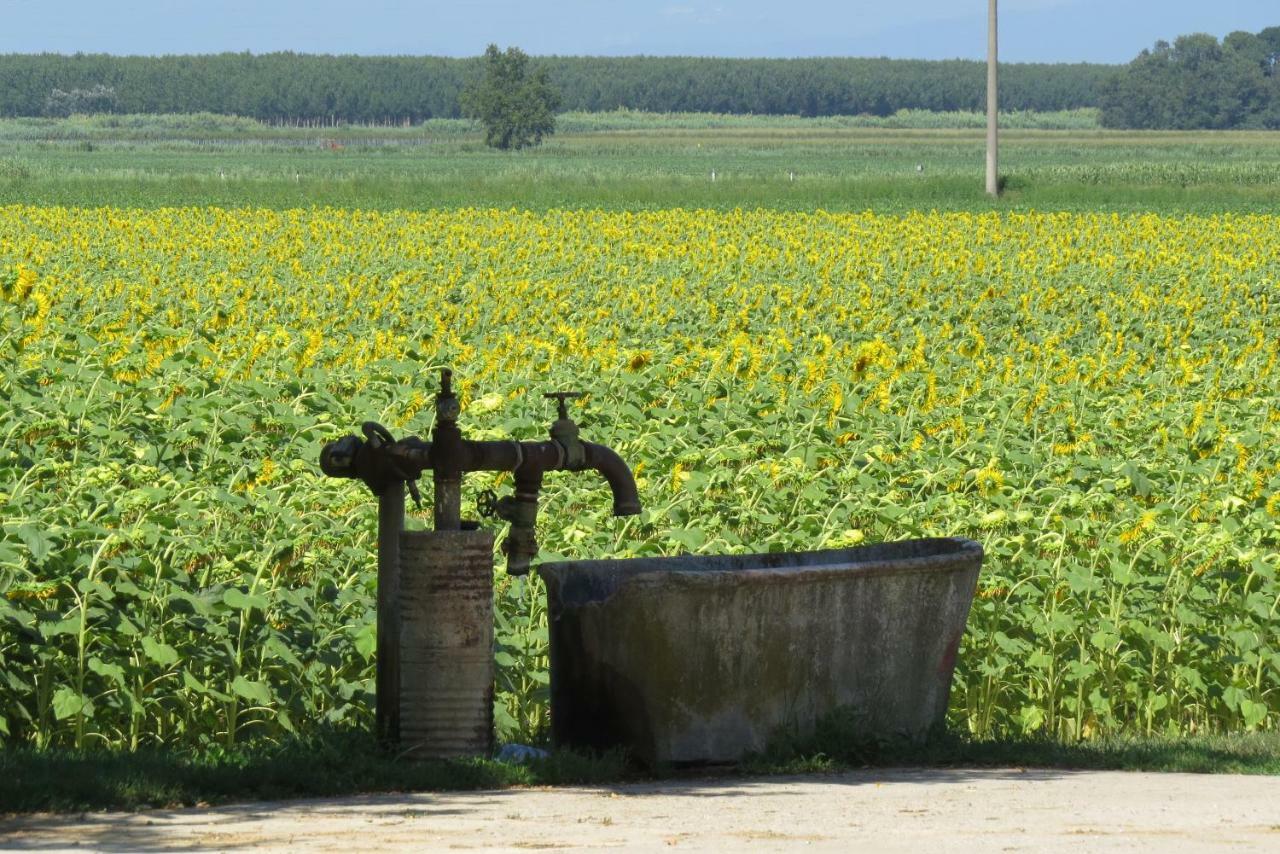 La Centuria Societa Agricola Casa Vacanze Terzo d' Aquileia Bagian luar foto