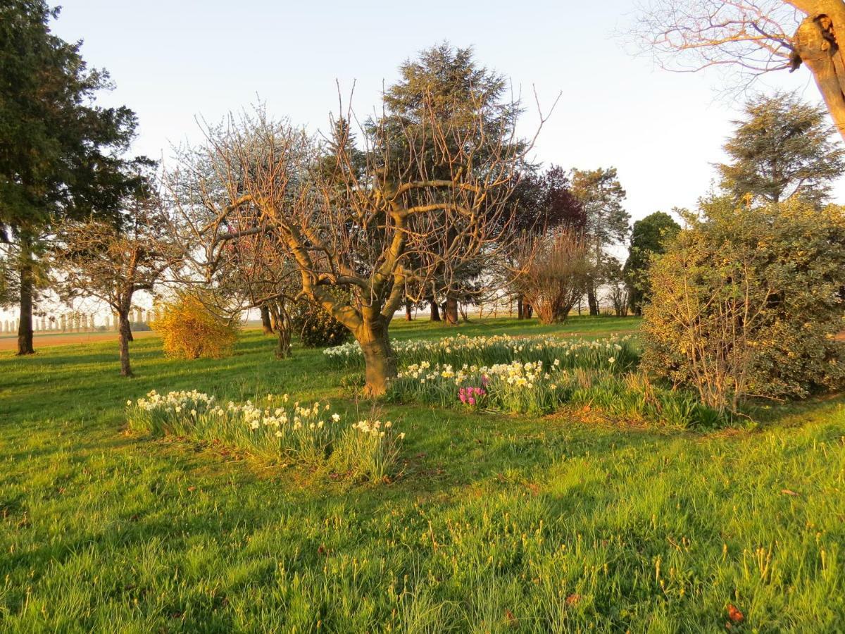 La Centuria Societa Agricola Casa Vacanze Terzo d' Aquileia Bagian luar foto