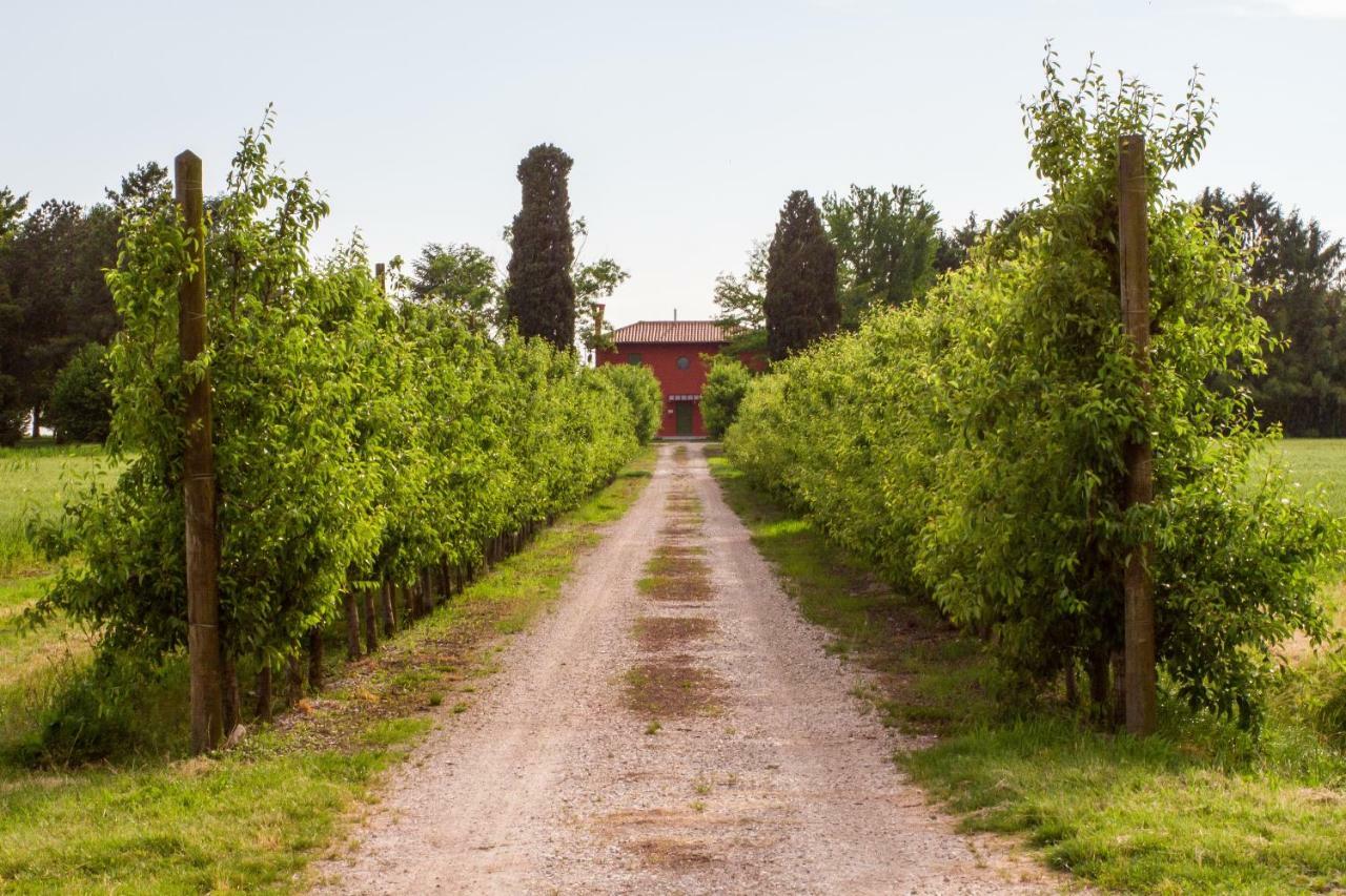 La Centuria Societa Agricola Casa Vacanze Terzo d' Aquileia Bagian luar foto