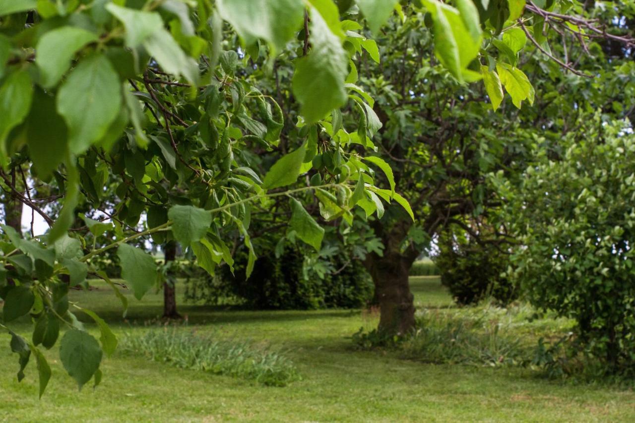La Centuria Societa Agricola Casa Vacanze Terzo d' Aquileia Bagian luar foto